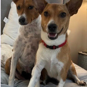 Meet your Posher, Heidi